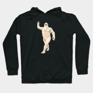 Himalayan Myth Hoodie